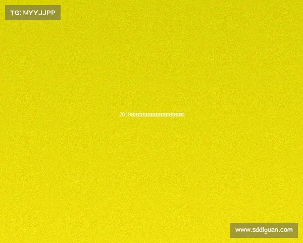 2019年广州体育赛事盛况回顾各类精彩竞技瞬间集锦