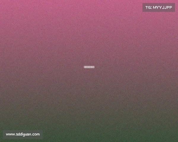 武林风方便战绩