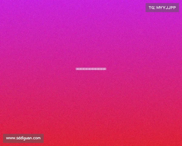 体球网赛事深度解析与专业预测分析报告精要