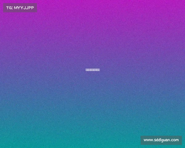 关于承办赛事的请示